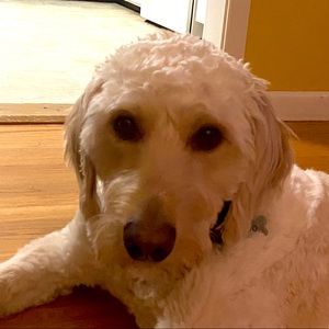 Meet your Posher, Jordyn